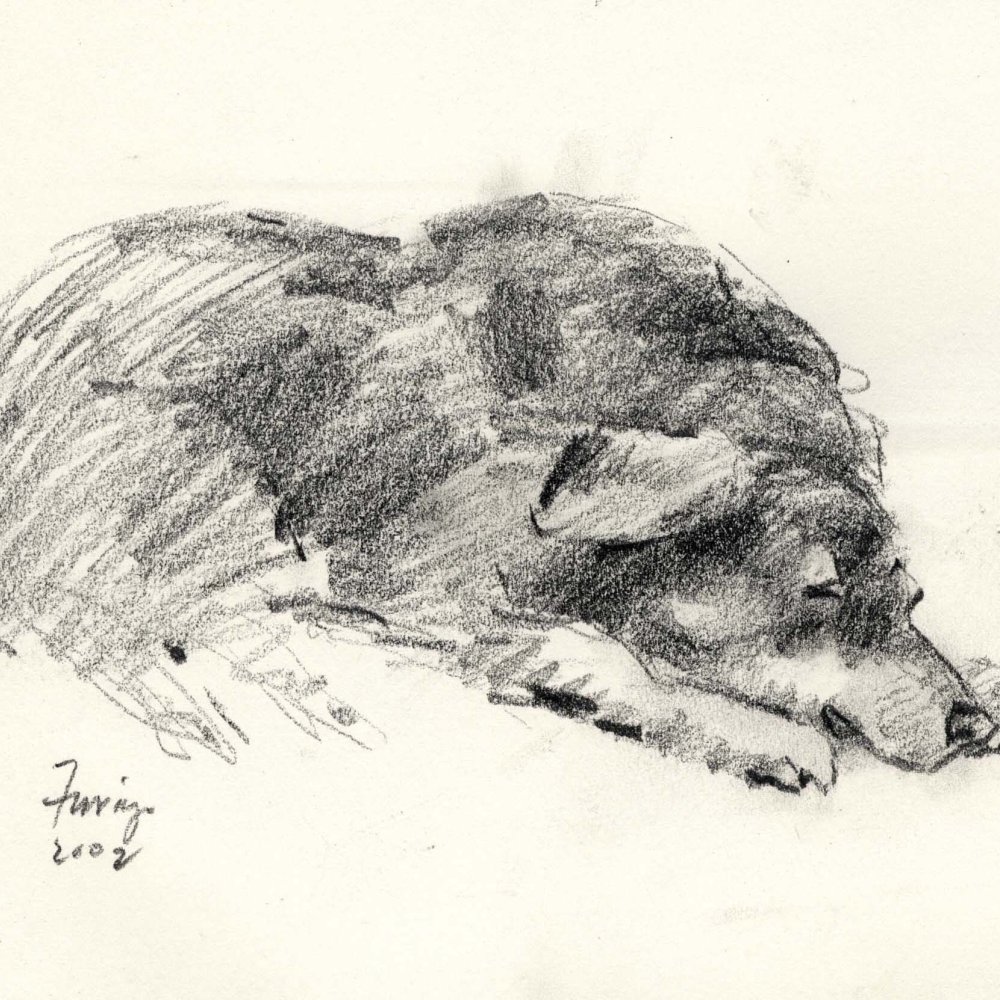 Ruby, pencil/paper, 9 x 12 inches.