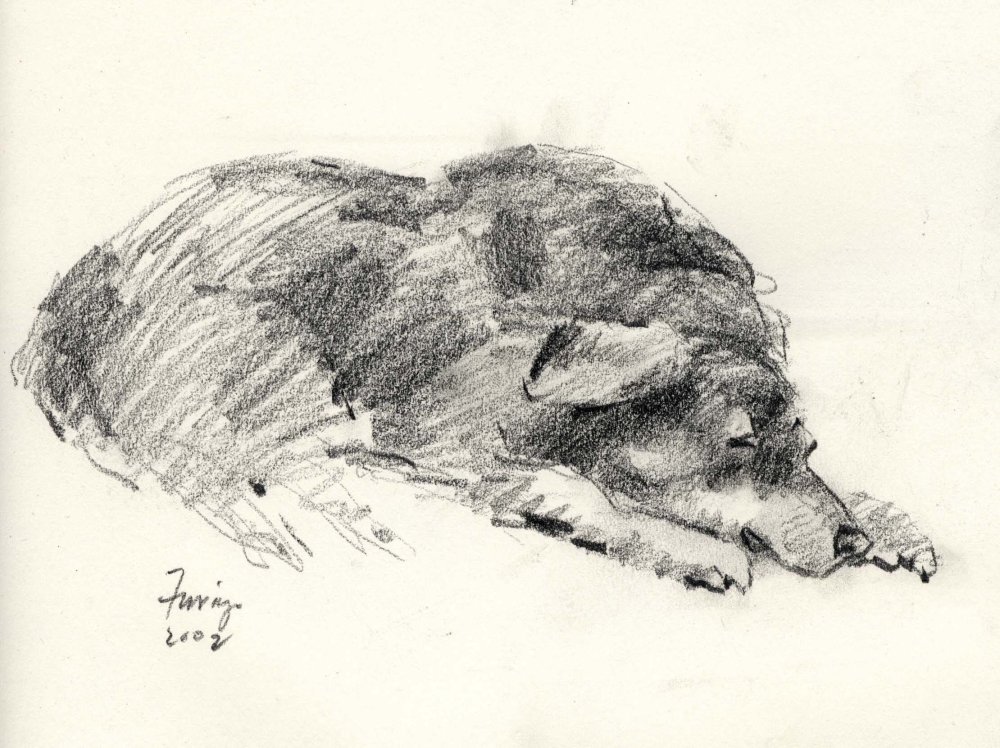 Ruby, pencil/paper, 9 x 12 inches.